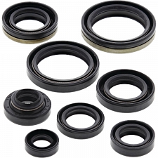 WRP 822125 Oil Seal Kit
