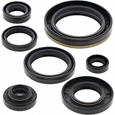 WRP 822126 Oil Seal Kit