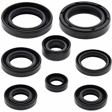 WRP 822130 Oil Seal Kit