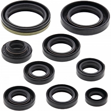 WRP 822131 Oil Seal Kit