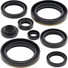 WRP 822132 Oil Seal Kit