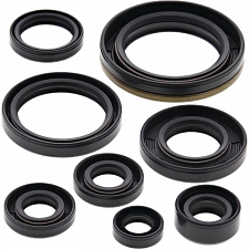 WRP 822133 Oil Seal Kit