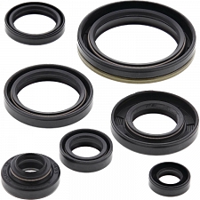 WRP 822134 Oil Seal Kit