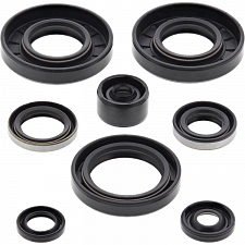 WRP 822135 Oil Seal Kit