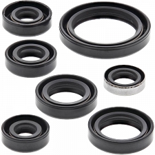 WRP 822136 Oil Seal Kit
