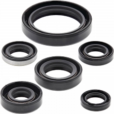 WRP 822137 Oil Seal Kit