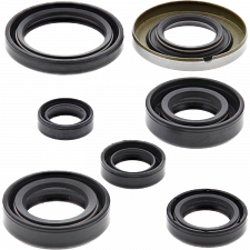 WRP 822160 Oil Seal Kit