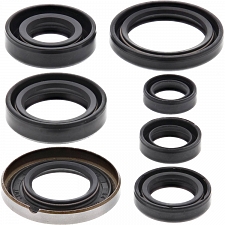 WRP 822161 Oil Seal Kit