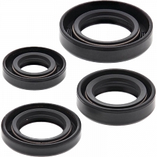 WRP 822163 Oil Seal Kit