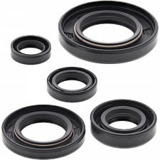 WRP 822165 Oil Seal Kit