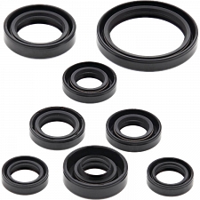 WRP 822167 Oil Seal Kit