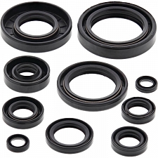 WRP 822172 Oil Seal Kit