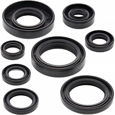 WRP 822173 Oil Seal Kit