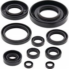 WRP 822174 Oil Seal Kit