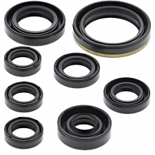 WRP 822175 Oil Seal Kit