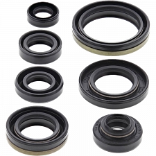 WRP 822176 Oil Seal Kit
