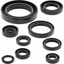 WRP 822177 Oil Seal Kit