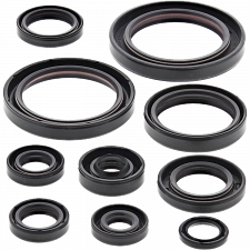 WRP 822178 Oil Seal Kit