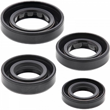 WRP 822179 Oil Seal Kit