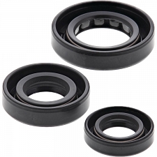 WRP 822180 Oil Seal Kit