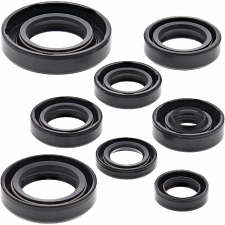WRP 822181 Oil Seal Kit