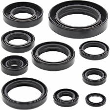 WRP 822182 Oil Seal Kit