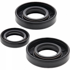 WRP 822184 Oil Seal Kit