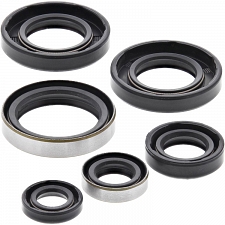 WRP 822185 Oil Seal Kit