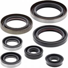 WRP 822186 Oil Seal Kit