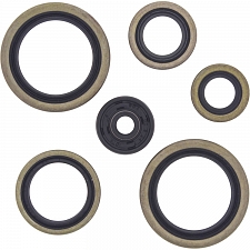WRP 822187 Oil Seal Kit
