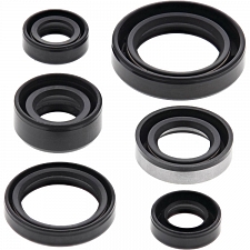 WRP 822194 Oil Seal Kit