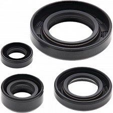 WRP 822195 Oil Seal Kit