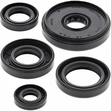 WRP 822196 Oil Seal Kit