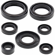 WRP 822197 Oil Seal Kit
