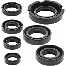 WRP 822219 Oil Seal Kit
