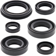 WRP 822220 Oil Seal Kit