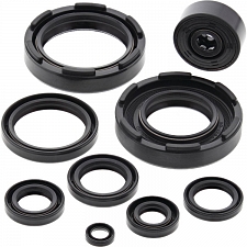 WRP 822221 Oil Seal Kit