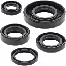 WRP 822222 Oil Seal Kit