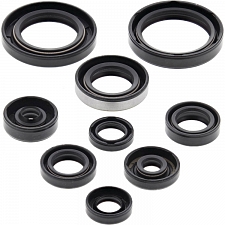 WRP 822223 Oil Seal Kit