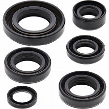 WRP 822224 Oil Seal Kit