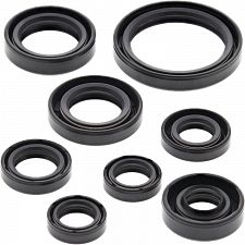 WRP 822228 Oil Seal Kit