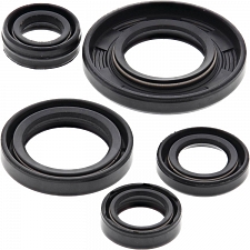 WRP 822240 Oil Seal Kit