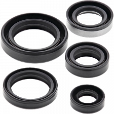 WRP 822245 Oil Seal Kit