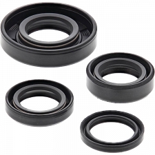 WRP 822246 Oil Seal Kit