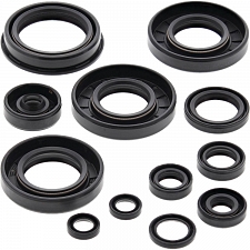 WRP 822252 Oil Seal Kit