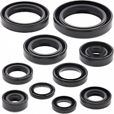 WRP 822265 Oil Seal Kit