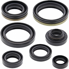 WRP 822267 Oil Seal Kit