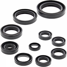 WRP 822270 Oil Seal Kit