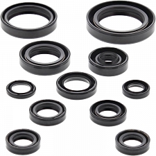 WRP 822271 Oil Seal Kit