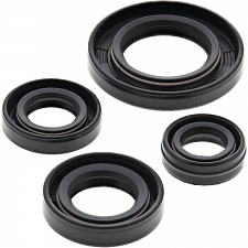 WRP 822272 Oil Seal Kit
